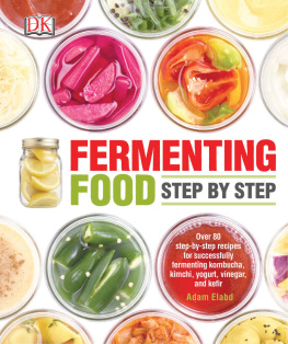 Elabd - Fermenting food step by step