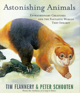 Flannery Tim Astonishing Animals: Extraordinary Creatures and the Fantastic Worlds They Inhabit