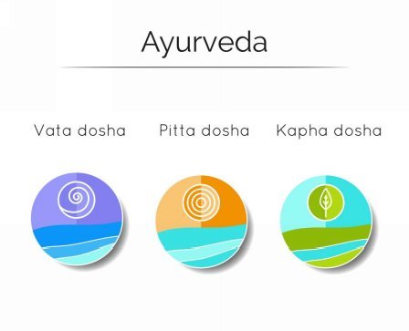 Ayurveda concepts Ayurvedic theory believes that every living or non-living - photo 2