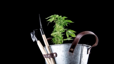 Here is a list of tools you will need to grow your own organic marijuana You - photo 3