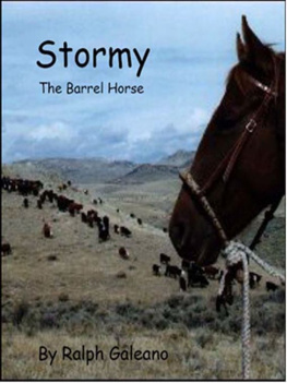 Galeano Stormy, the barrel horse