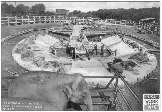 The 48-acre Fleishhacker Zoo opened in 1929 and featured a small number of - photo 3