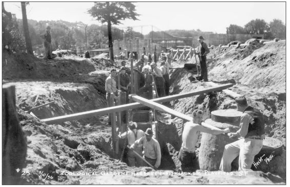 WPA workers excavate the ground in 1936 for the site of Fleishhacker Playfield - photo 7