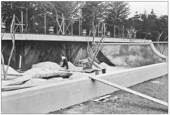 The small pachyderm exhibits were completed in 1938 to house the thick-skinned - photo 13