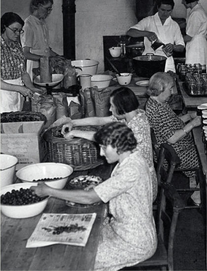 Wartime jam factory 1940 Wartime fruit canning 1940 Forget the - photo 8