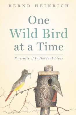 Heinrich - One wild bird at a time : portraits of individual lives