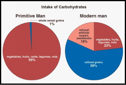 Best sources of fat Processed food by design contains massive amounts of - photo 5