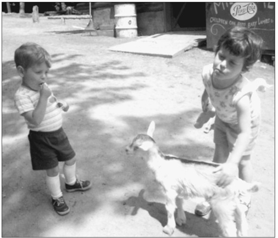 A young goat considered Wayne Lauzons sunglasses as a possible snack while - photo 3