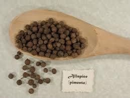 Allspice Use either of the following tsp cinnamon and tsp ground cloves - photo 2