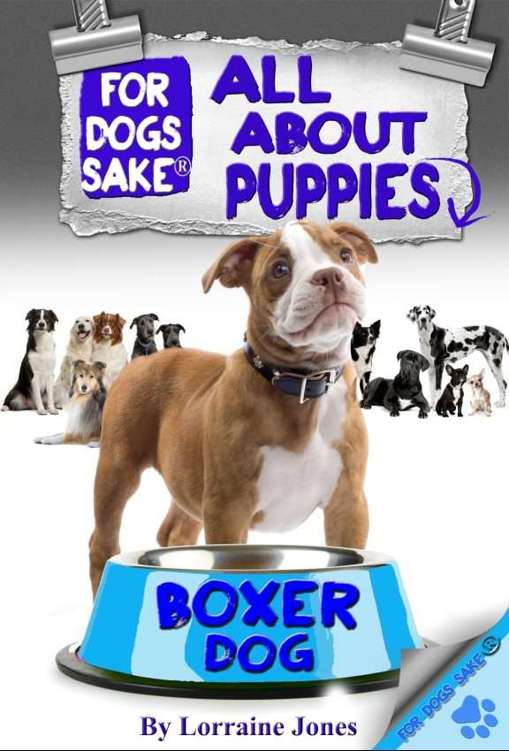 All About Boxer Puppies Author Lorraine Jones 2006 - photo 1