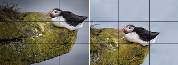 Dividing the image area into thirds makes for an exciting and dynamic - photo 2