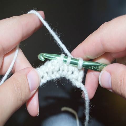 Yarn over the crochet hook and pull through 2 loops -Yarn over the - photo 3