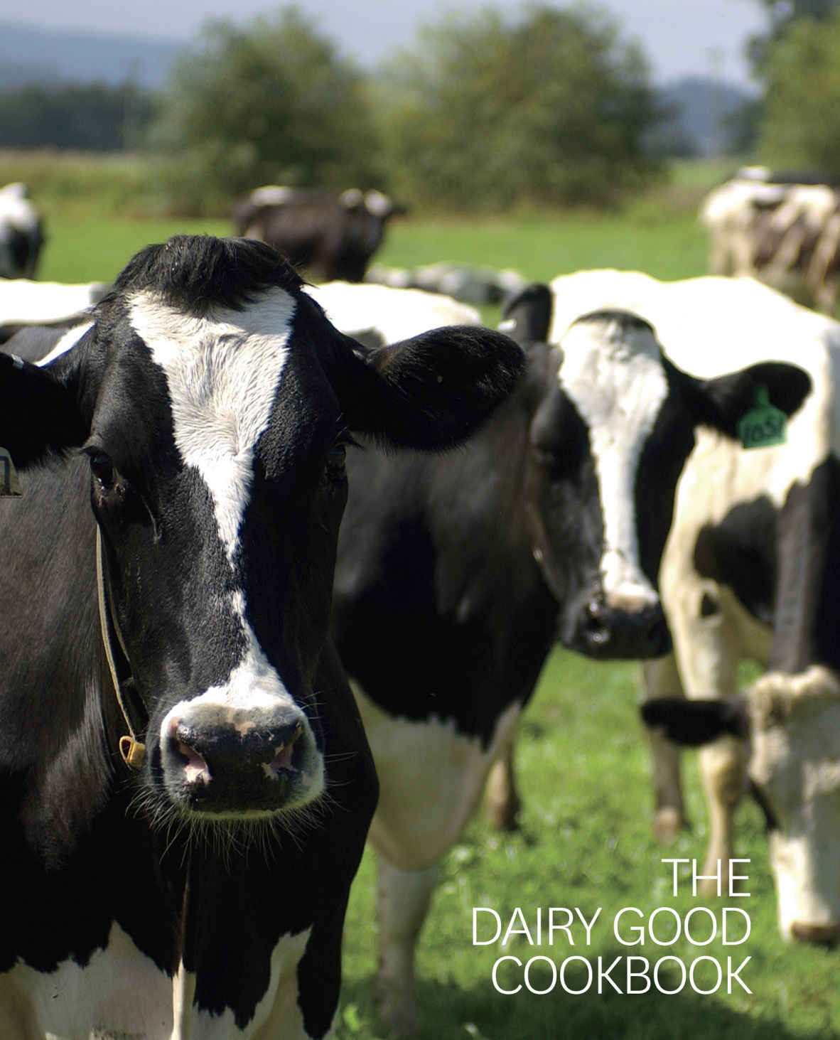 This book is dedicated to the nations nearly 47000 dairy farm families who - photo 1