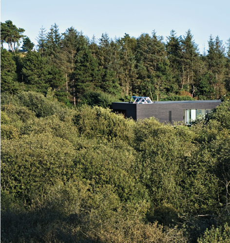 seen here nestled among tall pine trees was the first certified Passivhaus - photo 5