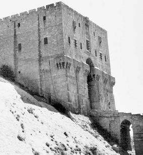 These are walls and entrance to the citadel of Aleppo In 1259 the city fell - photo 18