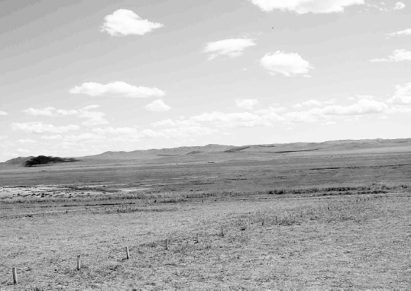 The Mongolian steppes in summer With the endless sky there is little wonder - photo 4