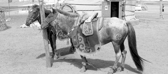 Each yam station maintained several horses for messengers The modern Mongolian - photo 10