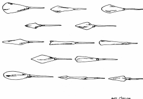 A selection of the arrowheads used by the Mongols Close up of the Mongol - photo 15