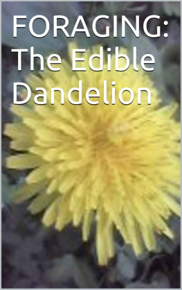 Morton - Foraging The Edible Dandelion