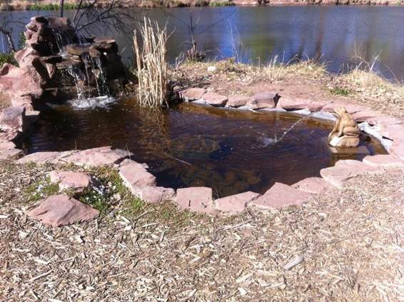 One last thing you will not regret adding a waterfall to your pond In fact - photo 7