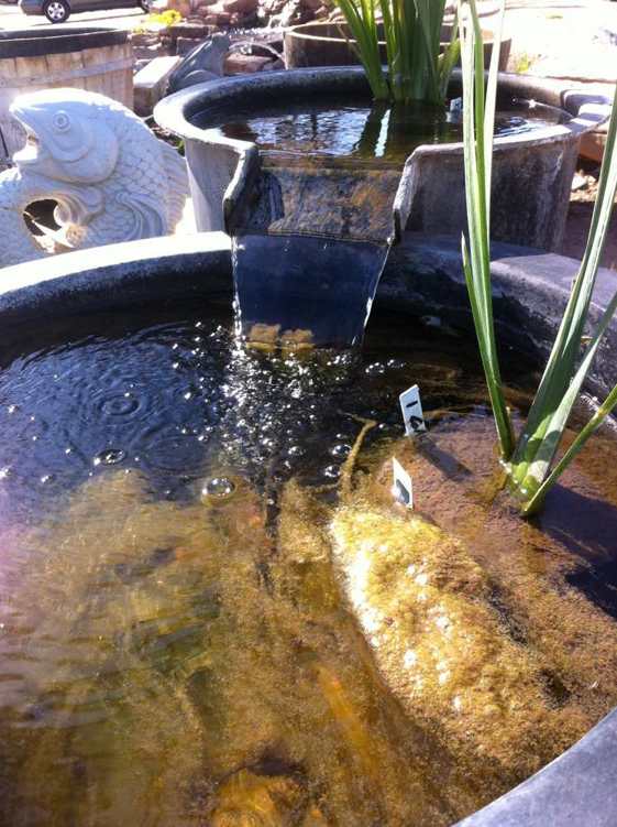 TOP 5 REASONS TO GO PONDLESS So maybe you dont have a pond Or maybe you are - photo 8