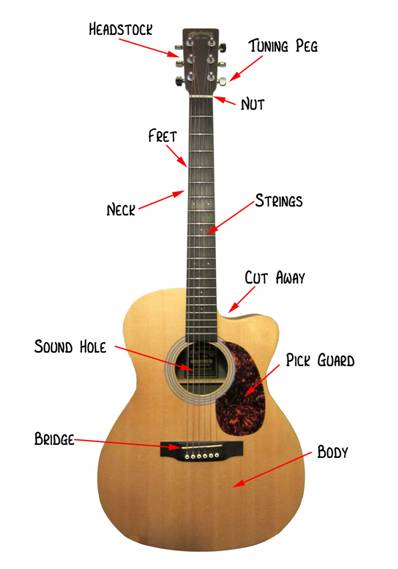 Main Types of Guitar There are 3 main types of guitar nylon string - photo 5