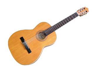 The nylon string or classical guitar is traditionally usedin classical - photo 6