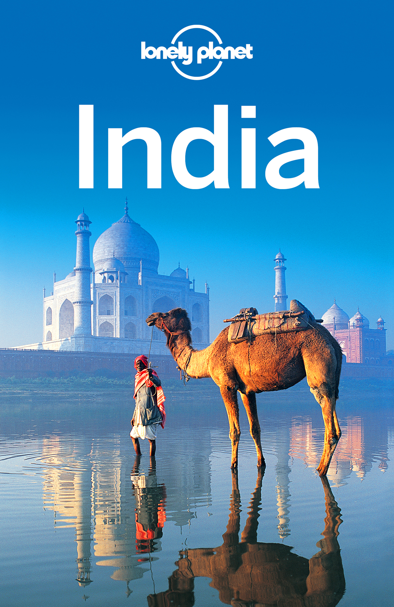 Lonely Planet India Travel Guide - image 1