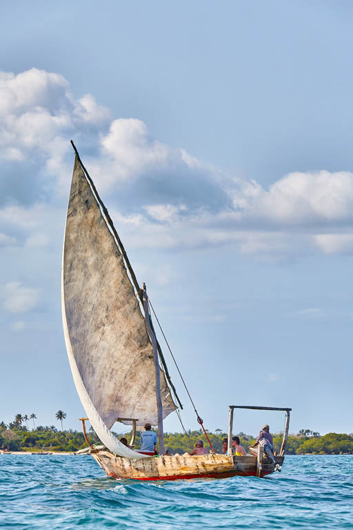 Dhow Zanzibar PETER UNGERGETTY IMAGES Wonderful Wildlife More than almost - photo 8