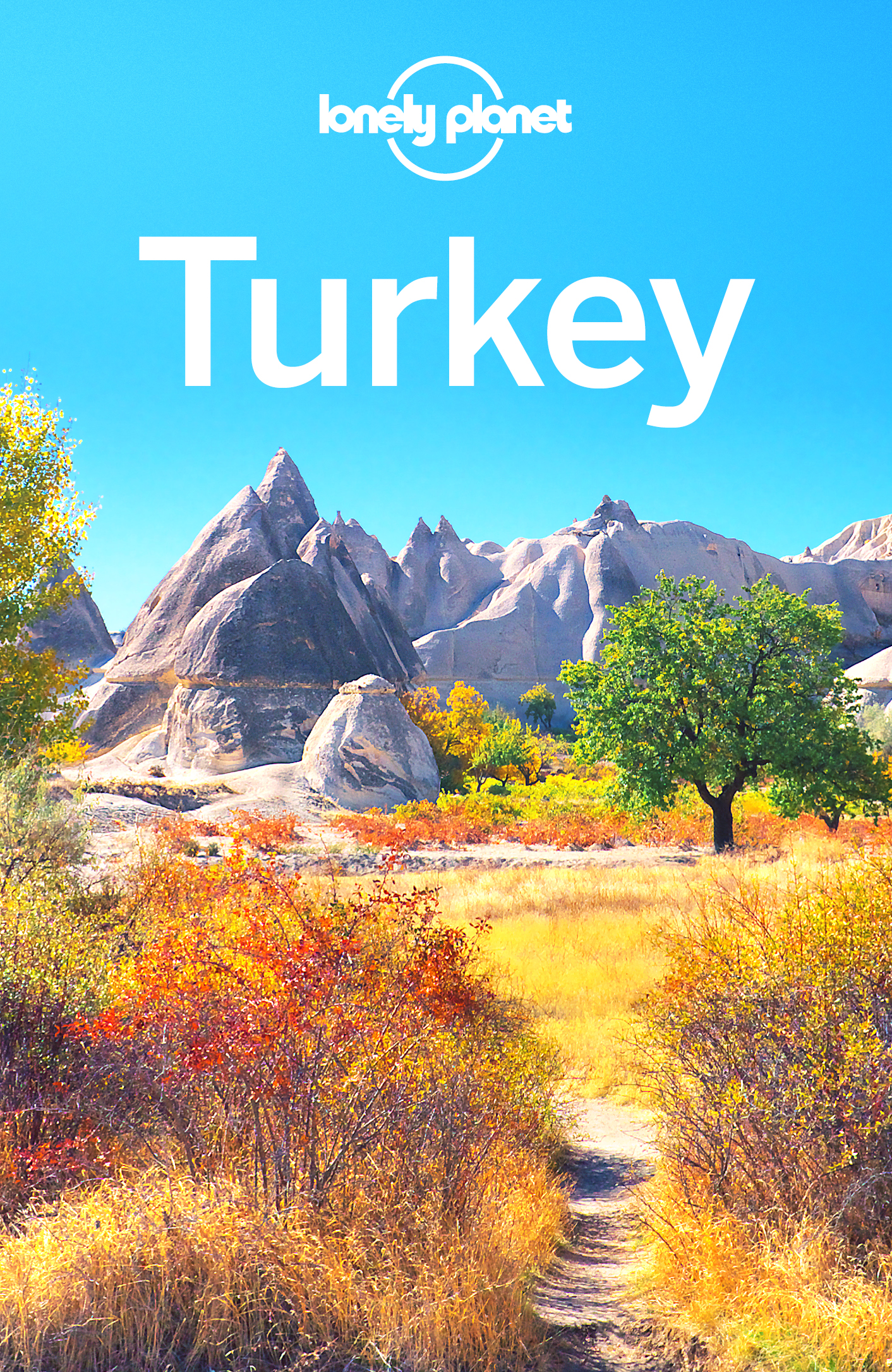 Lonely Planet Turkey Travel Guide - image 1