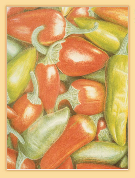 The complete colored pencil book - image 1