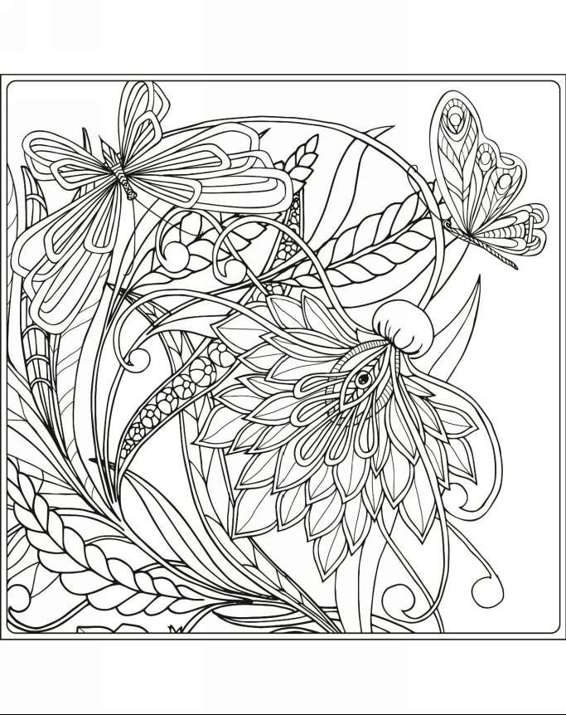 Zendoodle Coloring Magneficent Colors 30 Lovely Butterflies and Flowers to Color and Exhibit - photo 3