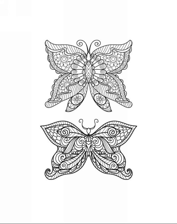 Zendoodle Coloring Magneficent Colors 30 Lovely Butterflies and Flowers to Color and Exhibit - photo 6