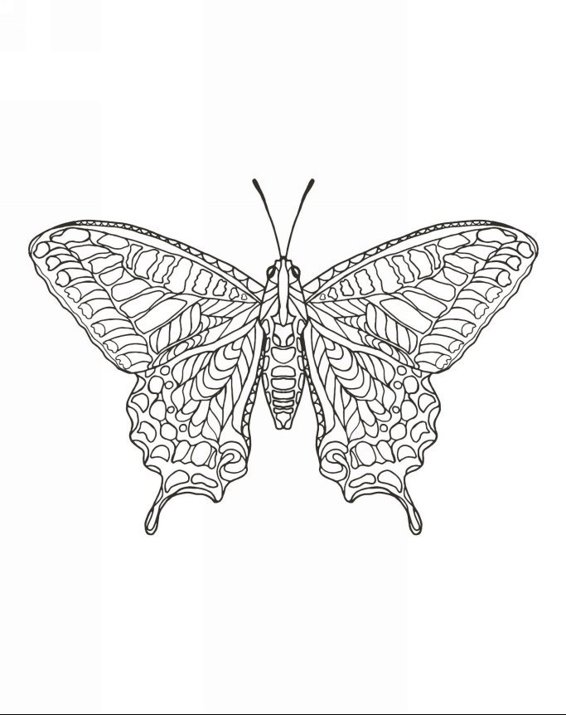 Zendoodle Coloring Magneficent Colors 30 Lovely Butterflies and Flowers to Color and Exhibit - photo 7