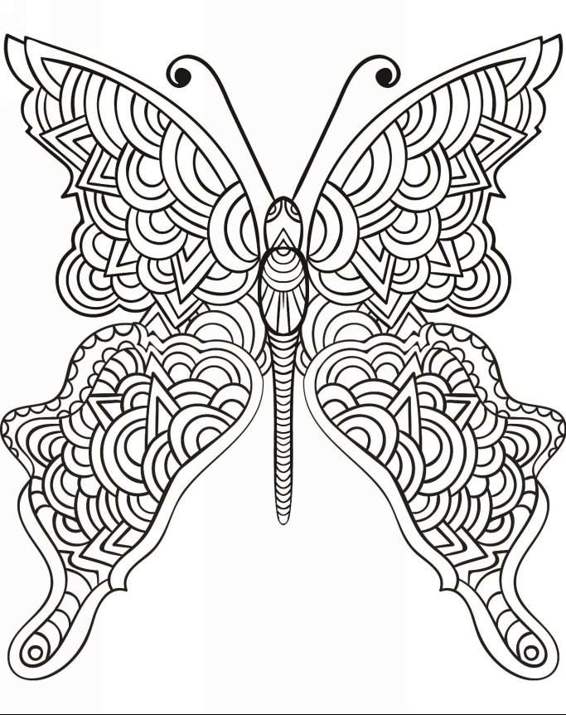 Zendoodle Coloring Magneficent Colors 30 Lovely Butterflies and Flowers to Color and Exhibit - photo 8