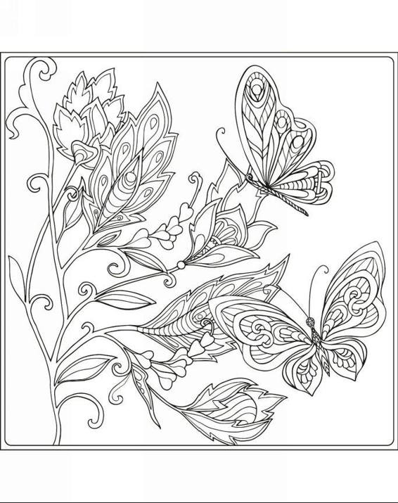 Zendoodle Coloring Magneficent Colors 30 Lovely Butterflies and Flowers to Color and Exhibit - photo 13