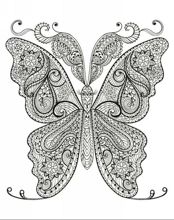 Zendoodle Coloring Magneficent Colors 30 Lovely Butterflies and Flowers to Color and Exhibit - photo 17