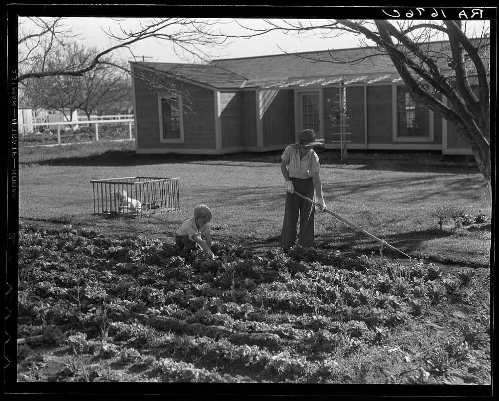 El Monte Federal subsistence homesteads One hundred homes each with three - photo 14