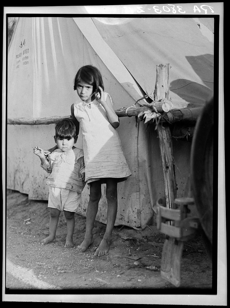 Migrant Mexican children in contractors camp at time of early pea harvest - photo 29