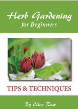 Rose Herb Gardening for Beginners: Tips & Techniques