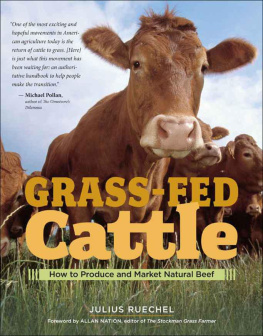 Ruechel - Grass-fed cattle : how to produce and market natural beef