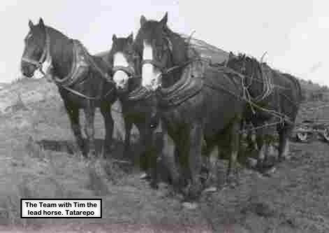 In the nearbyfarm yard the stables took centre stage Here the draft horses - photo 2