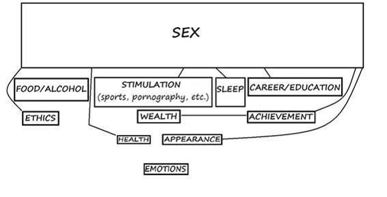 Sex is the number one driving factor Sex as in penetration not gender Males - photo 1