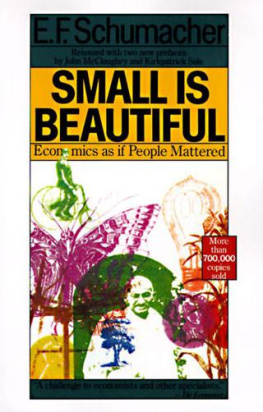 Schumacher Small is Beautiful: A Study of Economics as if People Mattered