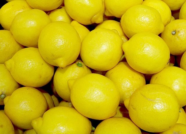 Lemons offer far more than delicious smells and a sour flavor This small - photo 2