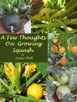 Shell - A Few Thoughts on Growing Squash