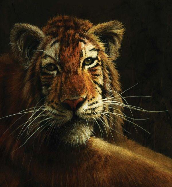 PAINTING REALISTIC WILDLIFE in ACRYLIC 30 Step-by-Step Demonstrations - photo 2