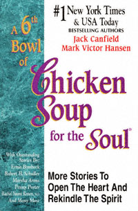 title A 6th Bowl of Chicken Soup for the Soul 101 More Stories to Open - photo 1