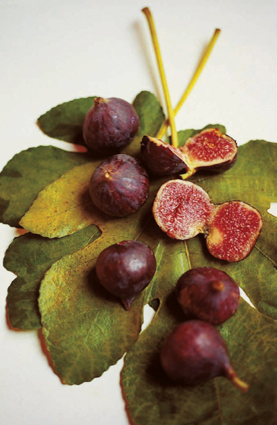 a platter of figs and other recipes david tanis FOREWORD BY ALICE WATERS - photo 1