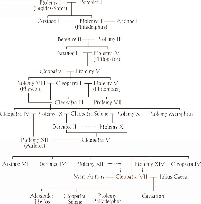 Table of Contents I II III IV V I The Rise of - photo 2